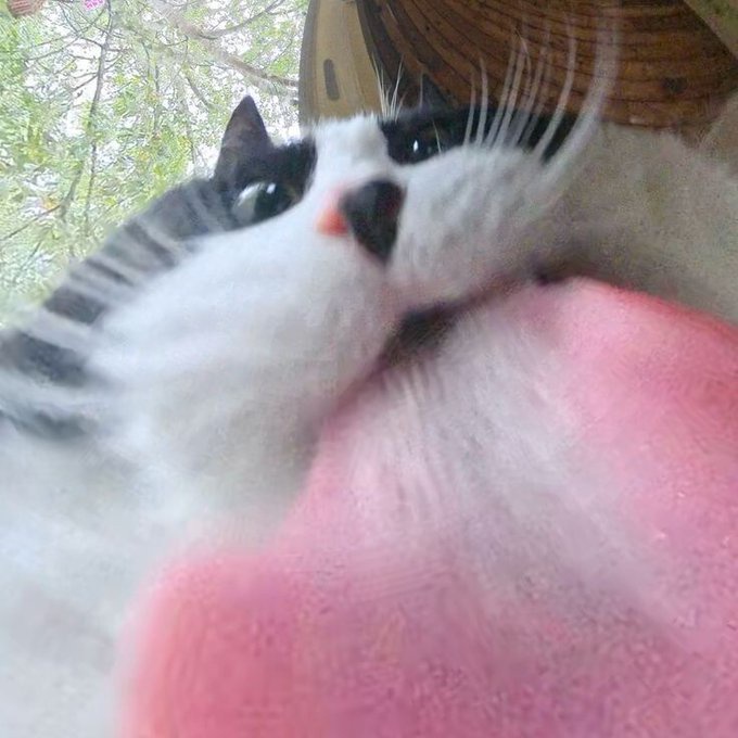 Thread Image