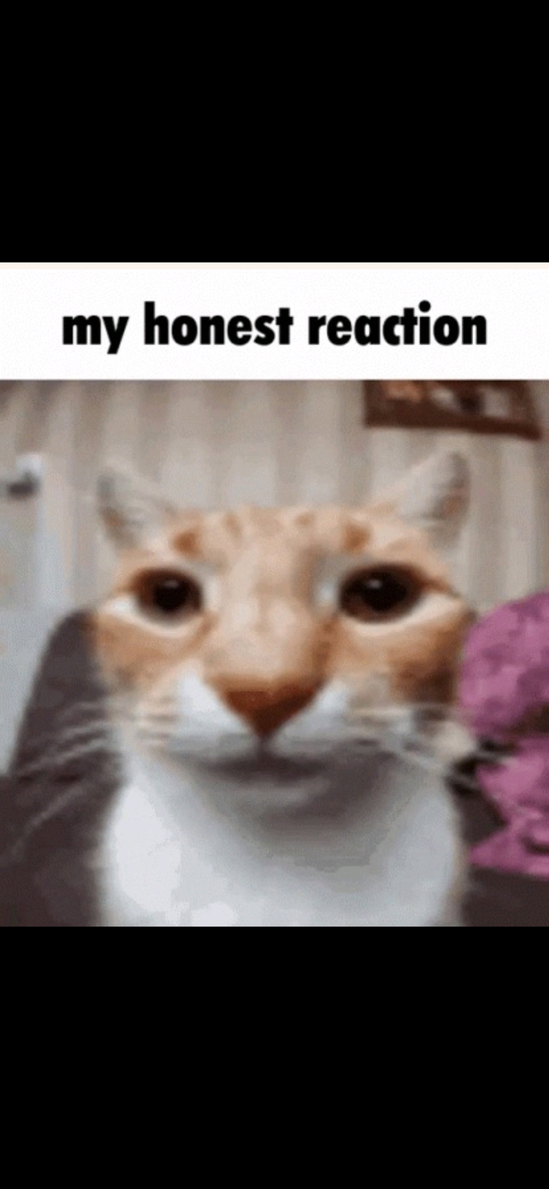 Thread Image