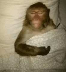 Thread Image