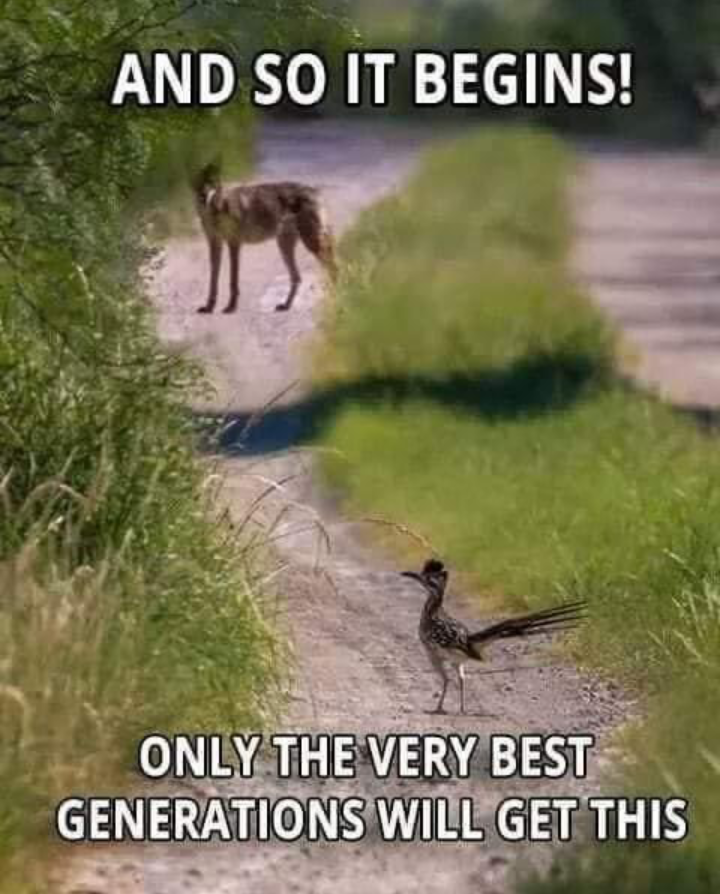 Thread Image