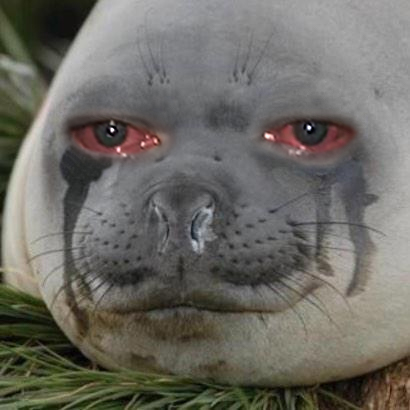 Thread Image