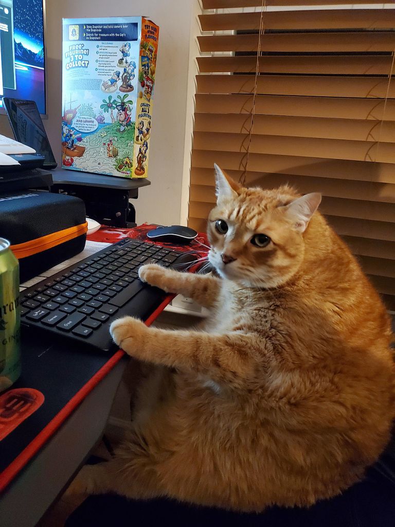 Thread Image