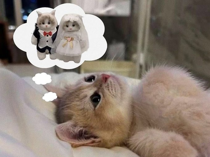 Thread Image