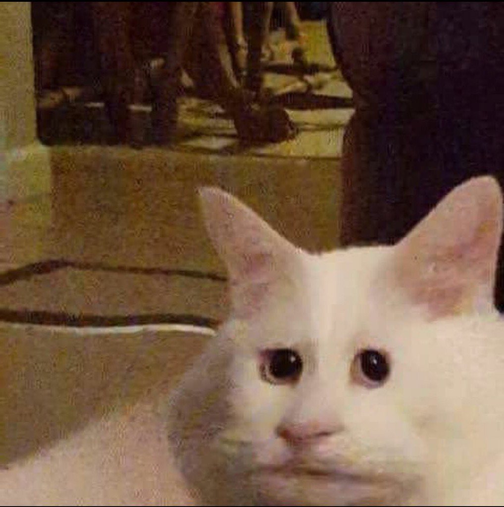 Thread Image