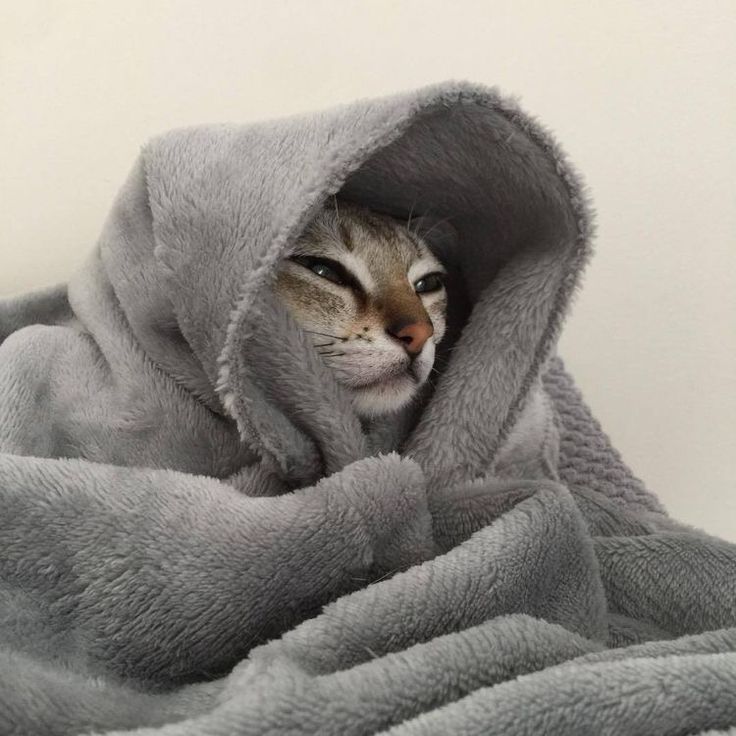 Thread Image