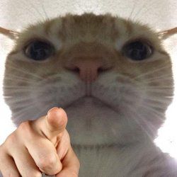 Thread Image
