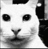 Thread Image
