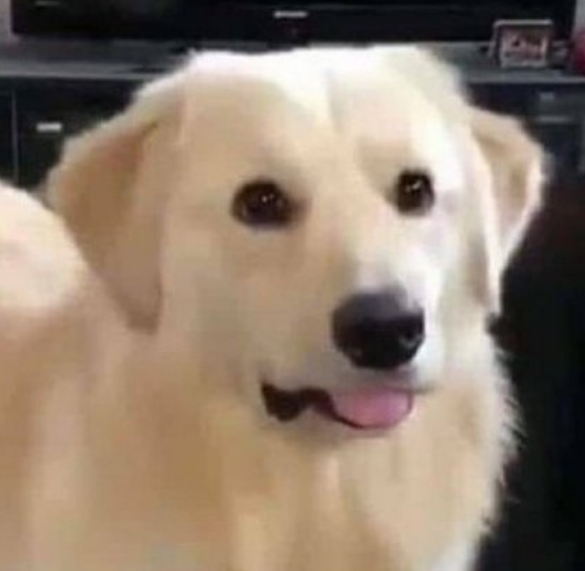 Thread Image