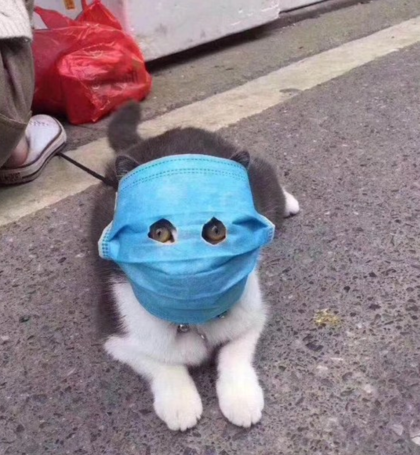 Thread Image