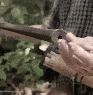 Thread Image