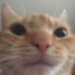 Thread Image