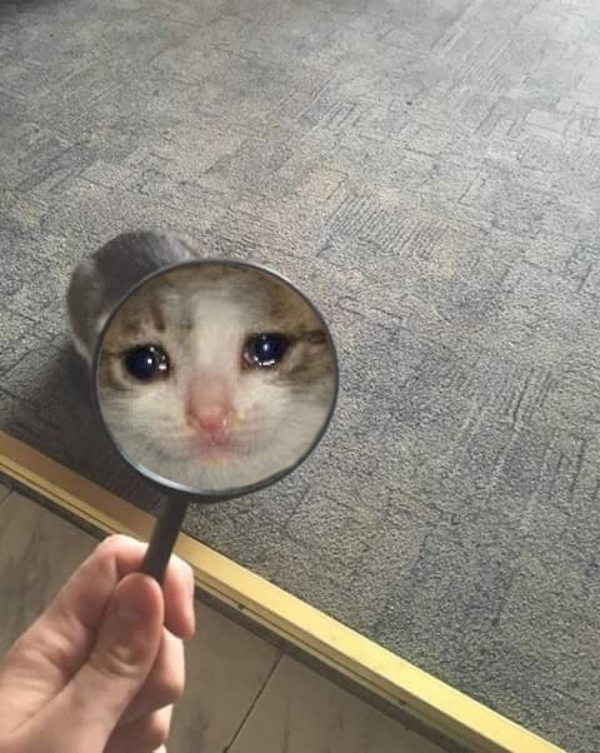 Thread Image