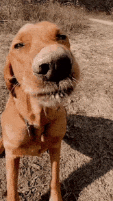 Thread Image