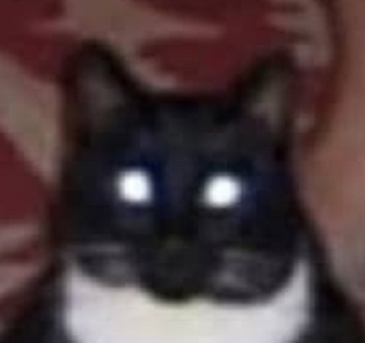 Thread Image